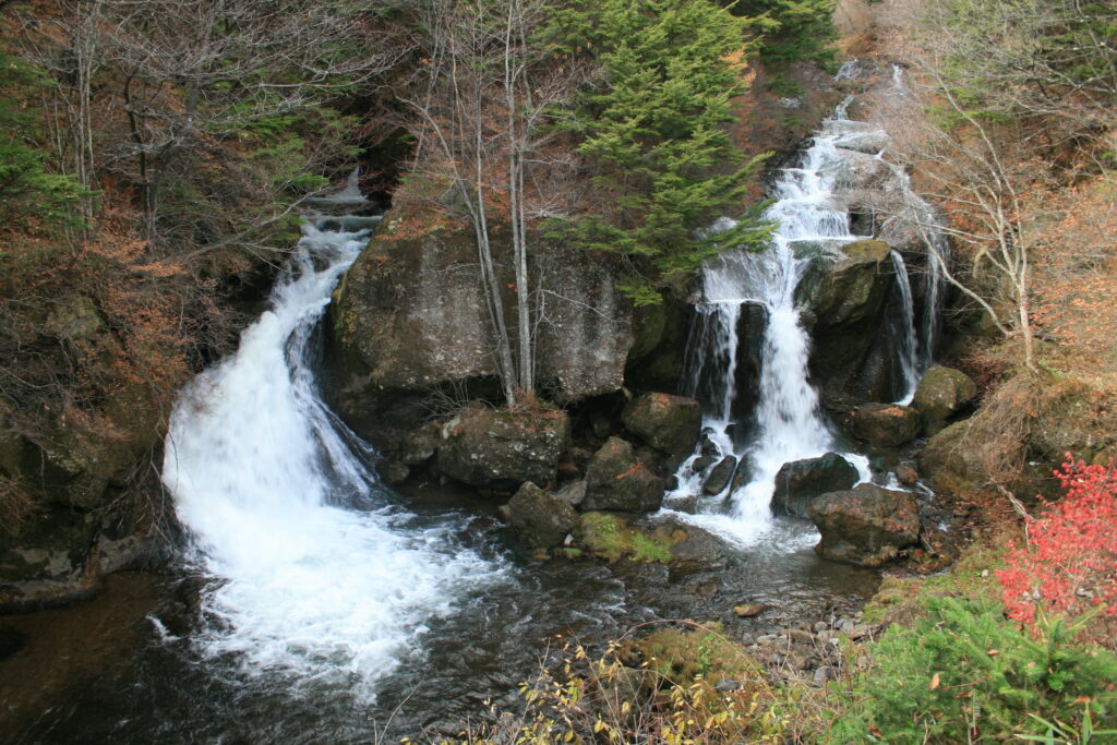 Maxim-Ross.com: Nikko Trip