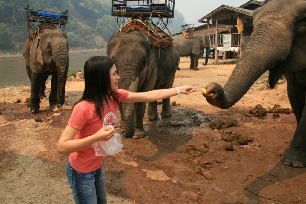 Travel to Chiang Rai 7 Chiang Rai2 146