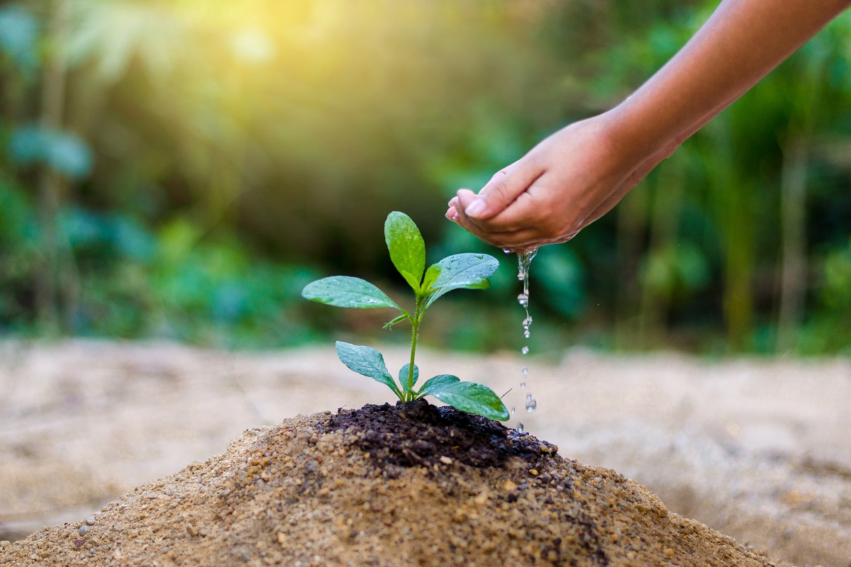 Why Living Your Values Leads to a More Purposeful Life